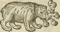 An illustration from Devises heroïqves (1557)