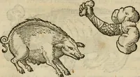 An illustration from Devises heroïqves (1557)