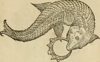 An illustration from Devises heroïqves (1557)
