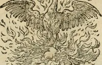 An illustration from Devises heroïqves (1557)