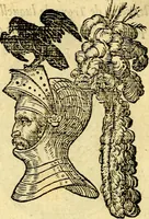 Picture 69 of 178 from Devises heroïqves (1557), leaf 111