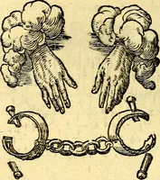 An illustration from Devises heroïqves (1557)