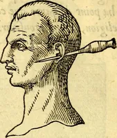 Picture 84 of 178 from Devises heroïqves (1557), leaf 133