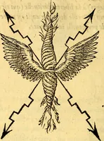 Picture 85 of 178 from Devises heroïqves (1557), leaf 135