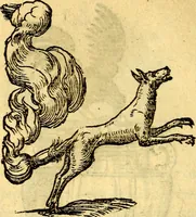 An illustration from Devises heroïqves (1557)