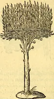 Picture 100 of 178 from Devises heroïqves (1557), leaf 155