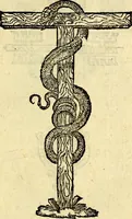 An illustration from Devises heroïqves (1557)