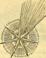 An illustration from Devises heroïqves (1557)