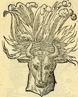 Picture 115 of 178 from Devises heroïqves (1557), leaf 174