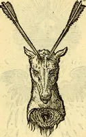 Picture 117 of 178 from Devises heroïqves (1557), leaf 176