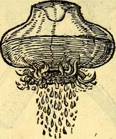 Picture 124 of 178 from Devises heroïqves (1557), leaf 185