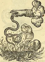 An illustration from Devises heroïqves (1557)