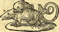 An illustration from Devises heroïqves (1557)