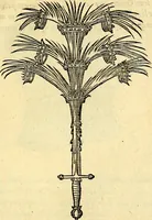 Picture 137 of 178 from Devises heroïqves (1557), leaf 204