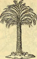 Picture 141 of 178 from Devises heroïqves (1557), leaf 210