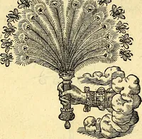 Picture 156 of 178 from Devises heroïqves (1557), leaf 236