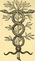 An illustration from Devises heroïqves (1557)