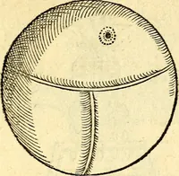 An illustration from Devises heroïqves (1557)