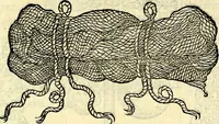 Picture 167 of 178 from Devises heroïqves (1557), leaf 250
