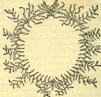 Picture 170 of 178 from Devises heroïqves (1557), leaf 255