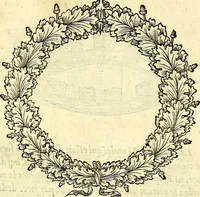 Picture 171 of 178 from Devises heroïqves (1557), leaf 256