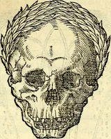 Picture 176 of 178 from Devises heroïqves (1557), leaf 262