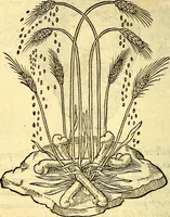 An illustration from Devises heroïqves (1557)
