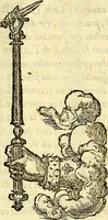 Picture 16 of 178 from Devises heroïqves (1557), leaf 32
