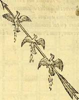 An illustration from Devises heroïqves (1557)