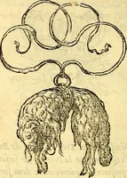 Picture 25 of 178 from Devises heroïqves (1557), leaf 49