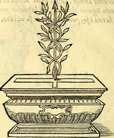 Picture 30 of 178 from Devises heroïqves (1557), leaf 57