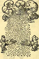 Picture 33 of 178 from Devises heroïqves (1557), leaf 61