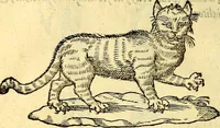 An illustration from Devises heroïqves (1557)