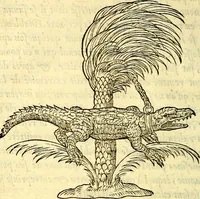 Picture 42 of 178 from Devises heroïqves (1557), leaf 73