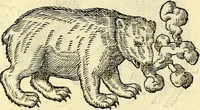 Picture 47 of 178 from Devises heroïqves (1557), leaf 84