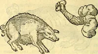 An illustration from Devises heroïqves (1557)