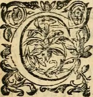 Picture 41 of 113 from Devises panegyriques pour Anne d'Austriche, reine de France (1667), leaf 148