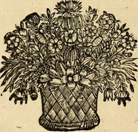 Picture 48 of 113 from Devises panegyriques pour Anne d'Austriche, reine de France (1667), leaf 173