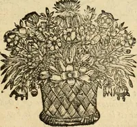 Picture 76 of 113 from Devises panegyriques pour Anne d'Austriche, reine de France (1667), leaf 256