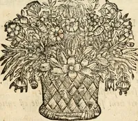 Picture 89 of 113 from Devises panegyriques pour Anne d'Austriche, reine de France (1667), leaf 312