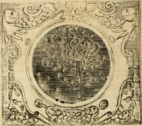 Picture 92 of 113 from Devises panegyriques pour Anne d'Austriche, reine de France (1667), leaf 319