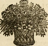 An illustration from Devises panegyriques pour Anne d'Austriche, reine de France (1667)