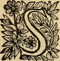 An illustration from Devises panegyriques pour Anne d'Austriche, reine de France (1667)