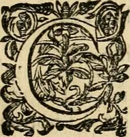 An illustration from Devises panegyriques pour Anne d'Austriche, reine de France (1667)