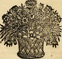 Picture 23 of 113 from Devises panegyriques pour Anne d'Austriche, reine de France (1667), leaf 85