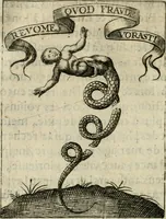 Picture 7 of 14 from Devises royales (1621), leaf 29