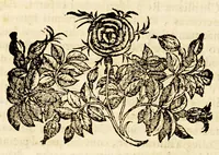 An illustration from De vita Francisci Borgiæ Societatis Iesu praepositi generalis ab Ignatio tertij. libri quattuor. (1596)