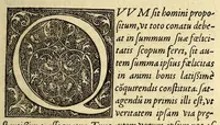 An illustration from De vniuersitate liber, : in quo astronomiæ doctrin[a]eúe coelestis compendium terrae aptatum, & secundum coelestis influxus ordinem praecipuaruḿque originum rationem totus orbis terrae quatenus innotuit, cum regnorum temporibus exponitur. Sed ante omneis alias orbis parteis Terra Sancta summo, hoc est amplissimo co[m]pendio describitur. cui Gallia ob primarium orbis nomen & ius substituitur, eo quòd ambae toti orbi legem sunt daturae. (1552)