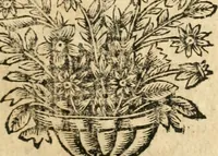 Picture 33 of 144 from Idea de vn principe politico christiano : representada en cien empressas (1666), leaf 132