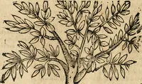 Picture 38 of 144 from Idea de vn principe politico christiano : representada en cien empressas (1666), leaf 161